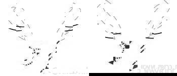 Jedrenjaci - vjetar s različitih strana