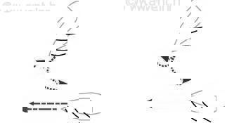 Jedrenjaci - vjetar s iste strane